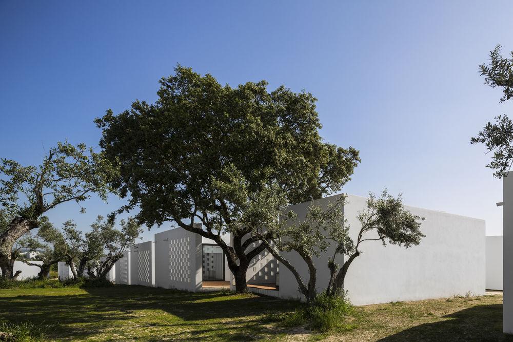 The Lince Ecorkhotel Évora Dış mekan fotoğraf